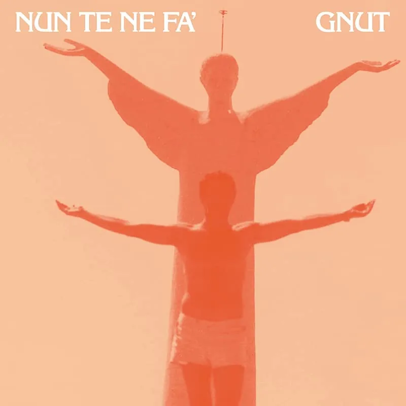 Copertina di Nun Te Ne Fà