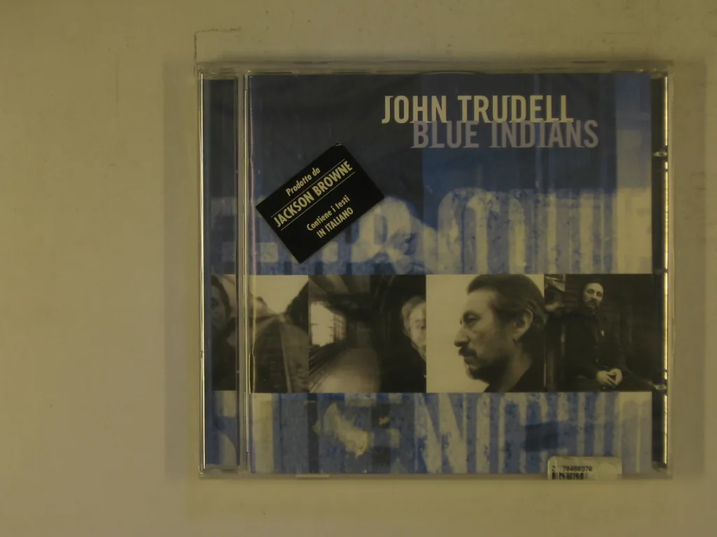 Copertina di Blue Indians