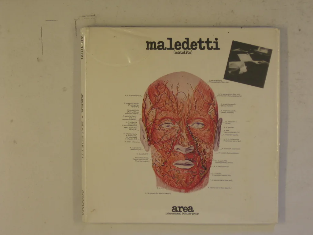 Copertina di Maledetti