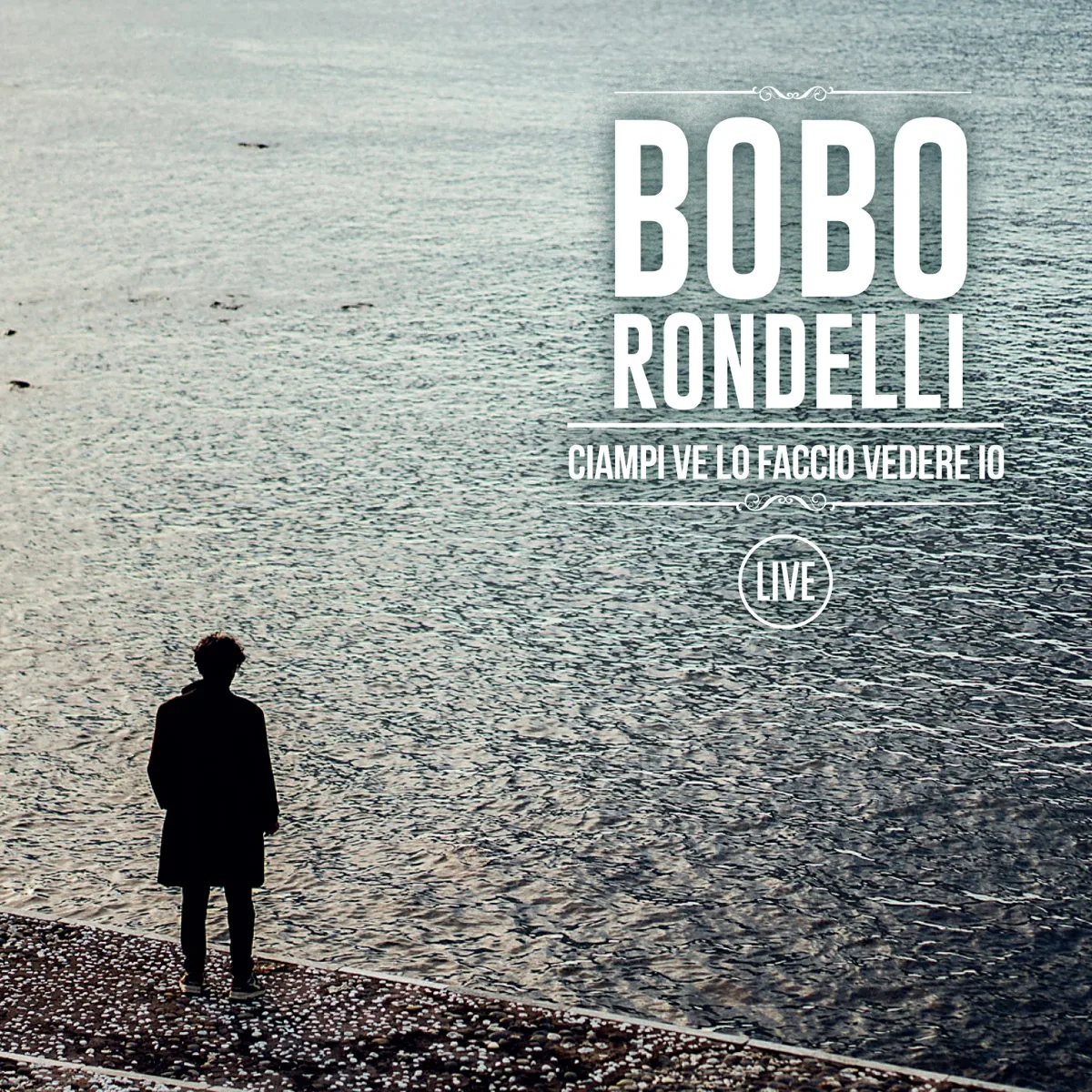 Copertina di Ciampi Ve Lo Faccio Vedere Io