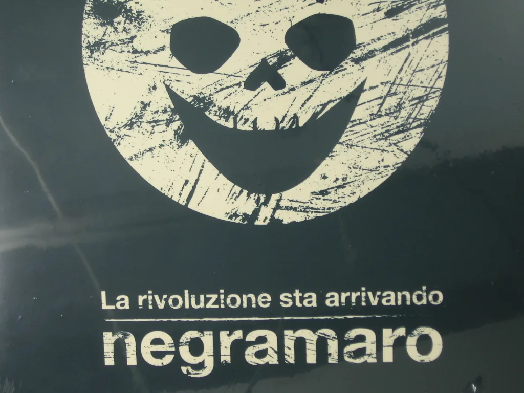 Copertina di La Rivoluzione Sta Arrivando