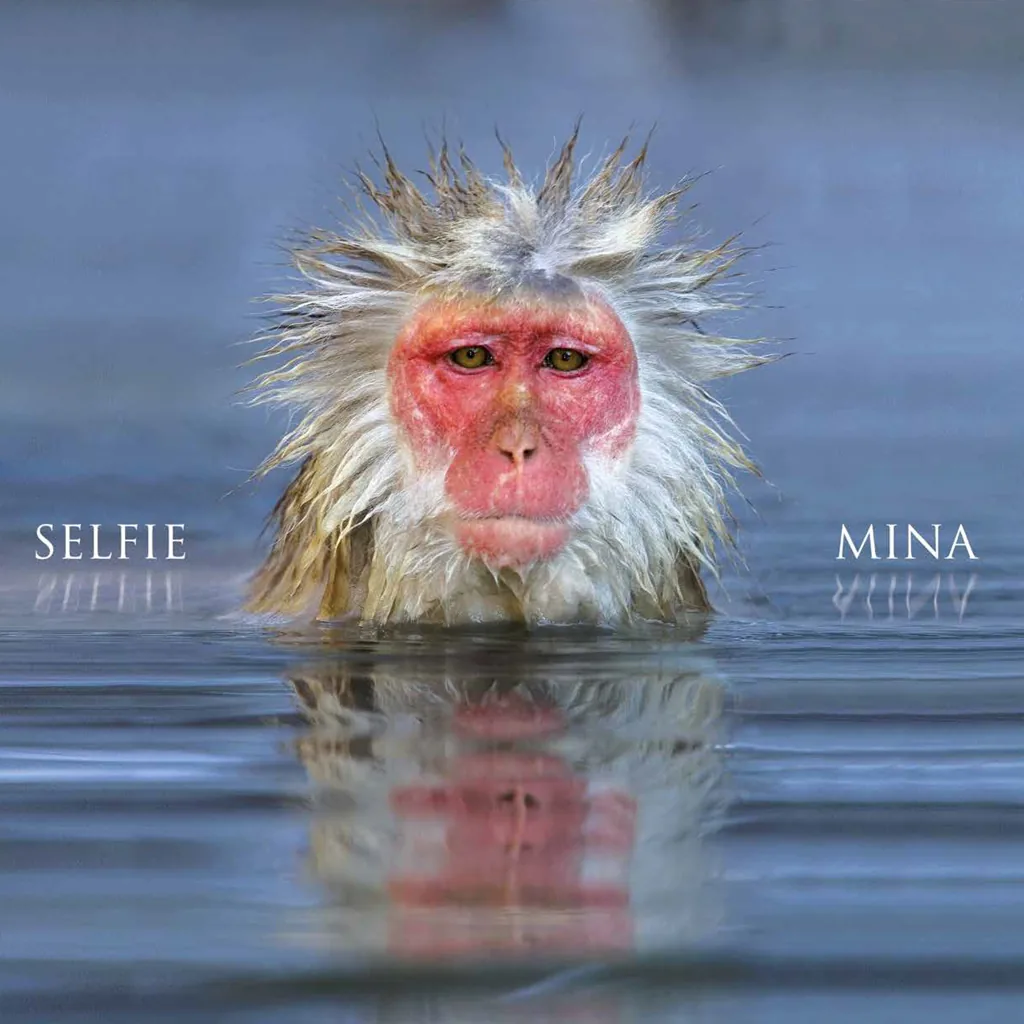 Copertina di Selfie