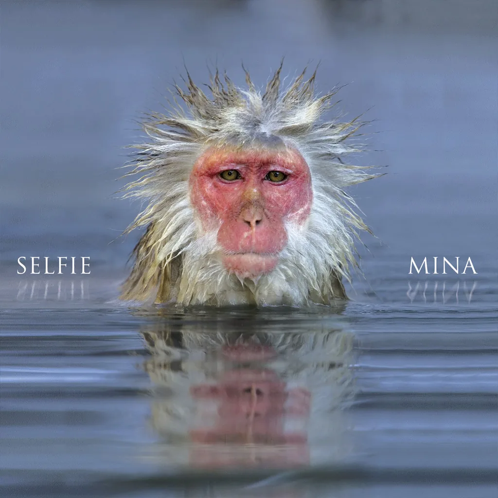 Copertina di Selfie
