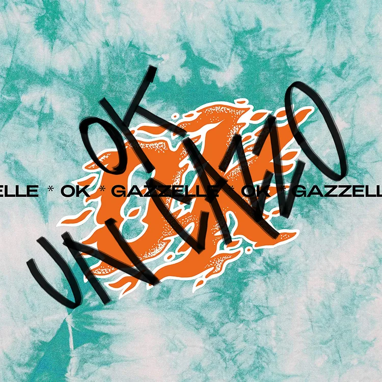 Copertina di Ok Un Cazzo