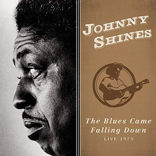 Copertina di The Blues Came Falling Down - Live 1973