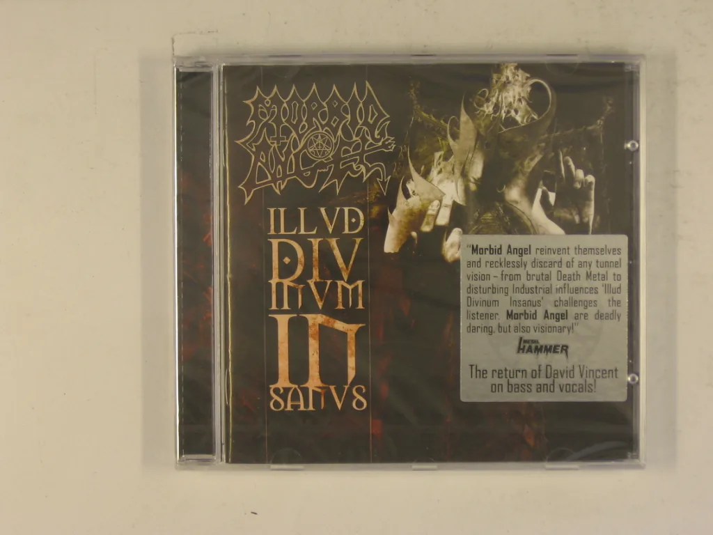 Copertina di Illud Divinum Insanus