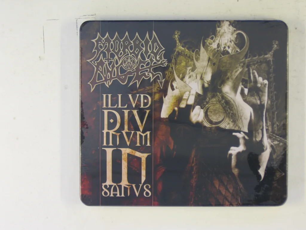 Copertina di Illud Divinum Insanus