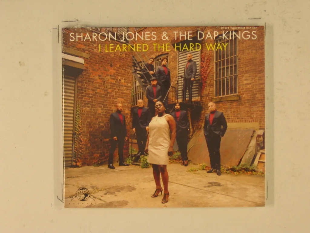 Copertina di I Learned The Hard Way