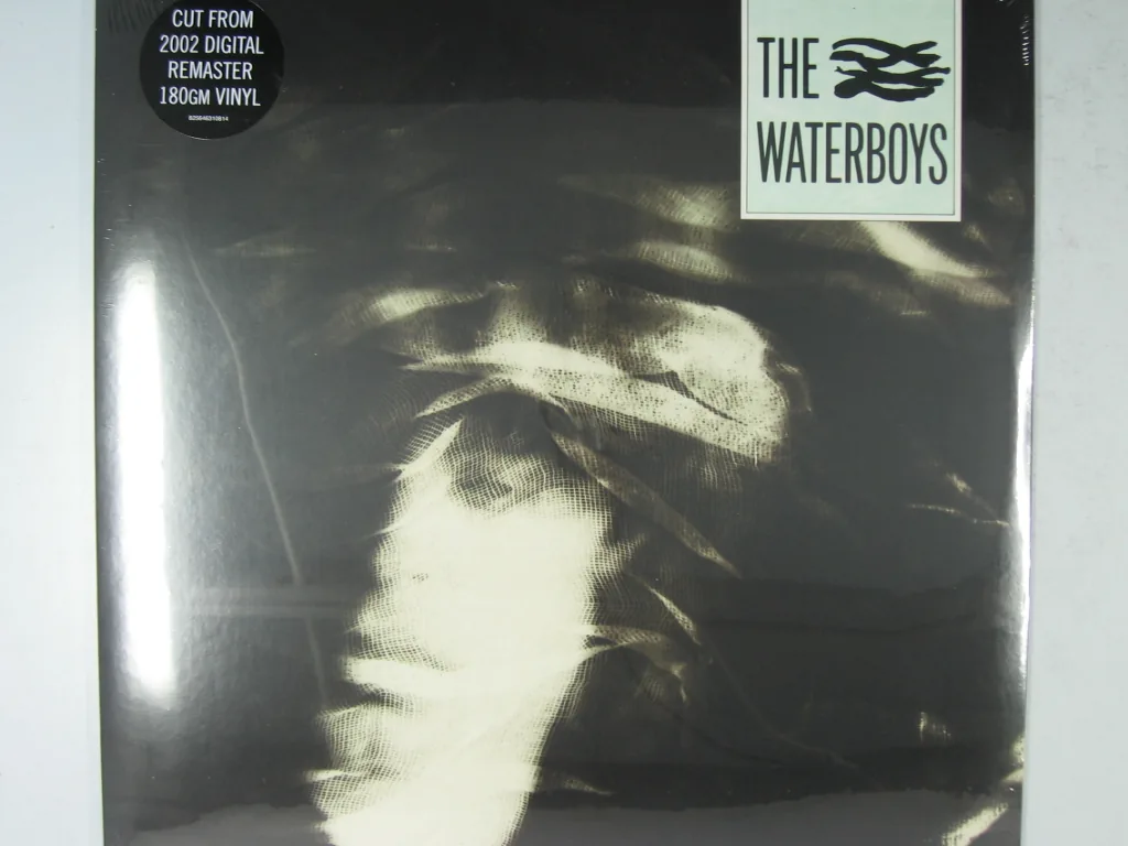 Copertina di The Waterboys
