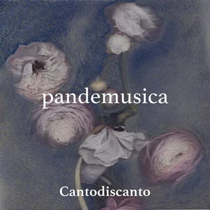 Copertina di Pandemusica