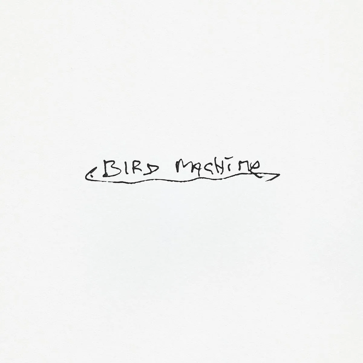 Copertina di Bird Machine