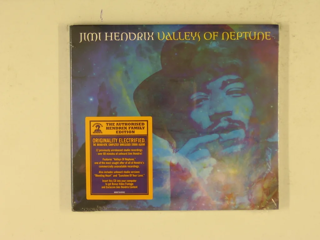 Copertina di Valleys Of Neptune