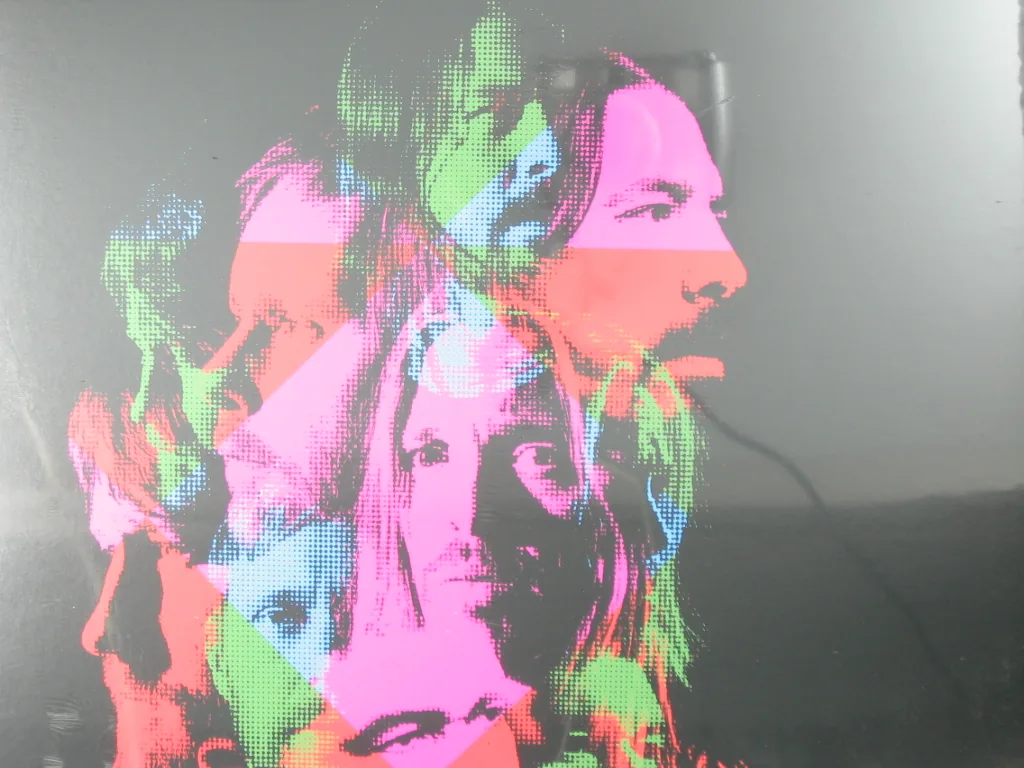 Copertina di Wasting Light