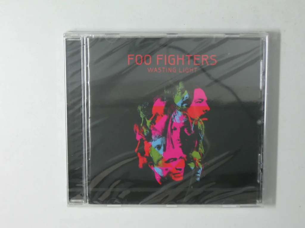 Copertina di Wasting Light
