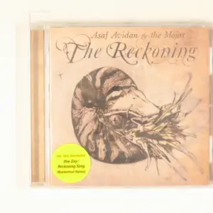 Copertina di The Reckoning