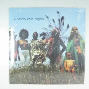 Copertina di Il Nostro Caro Angelo