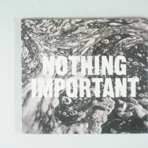 Copertina di Nothing Important