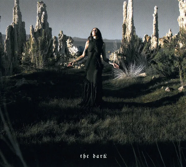 Copertina di The Dark