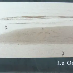 Copertina di Le Onde