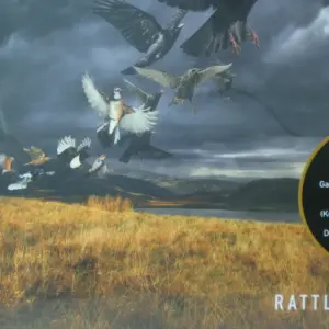 Copertina di Rattle That Lock