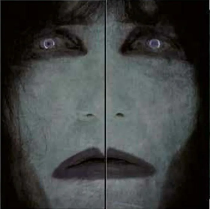 Copertina di The Entity