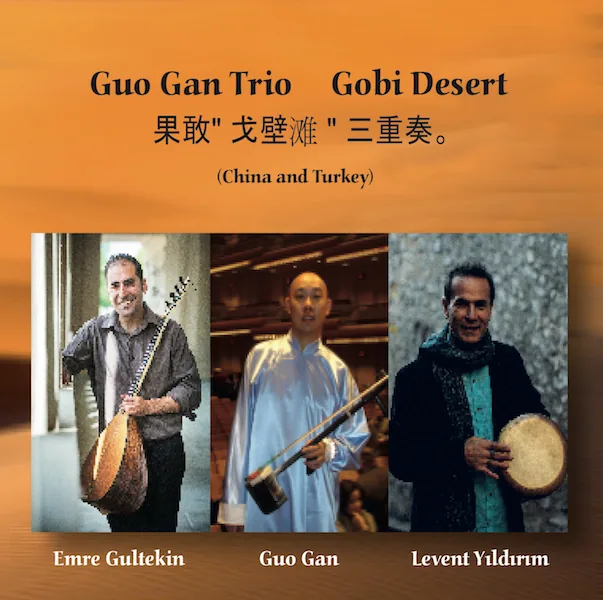 Copertina di Gobi Desert