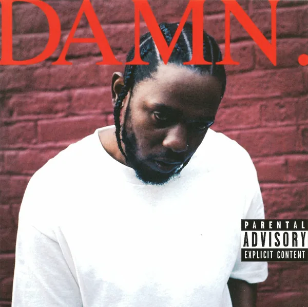 Copertina di Damn