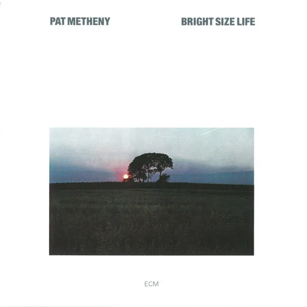 Copertina di Bright Size Life