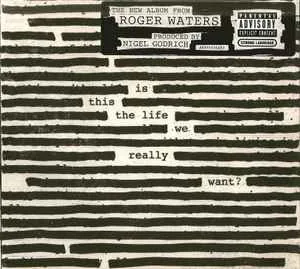 Copertina di Is This The Life We Really Want?