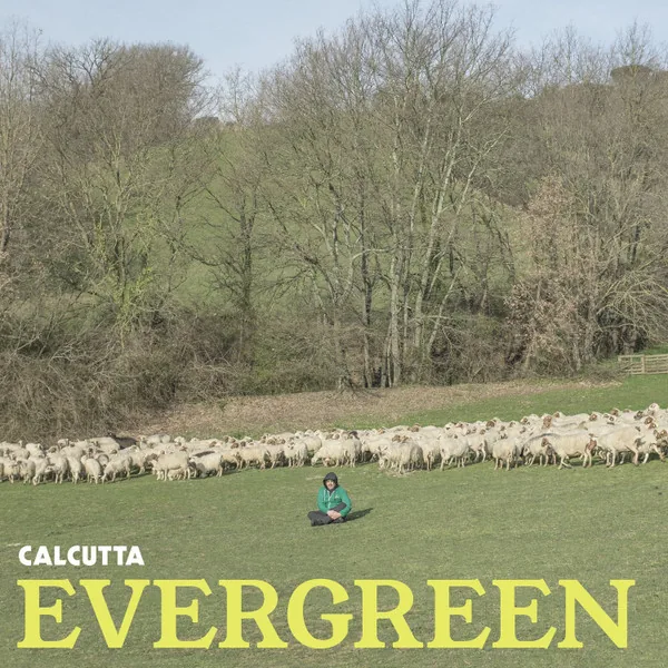 Copertina di Evergreen