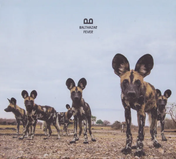 Copertina di Fever