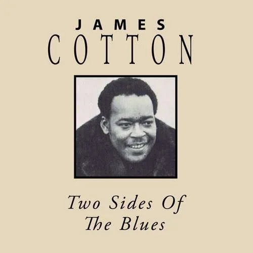 Copertina di Two Sides Of The Blues