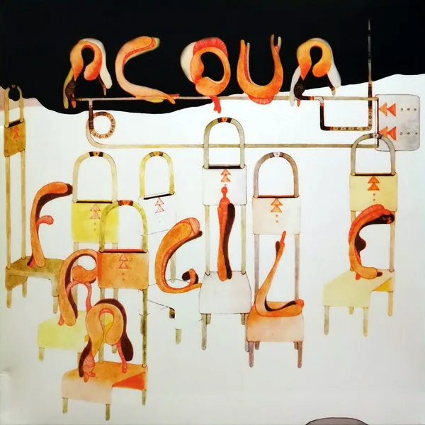 Copertina di Acqua Fragile
