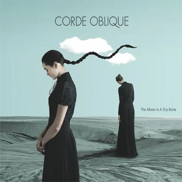 Copertina di The Moon Is A Dry Bone