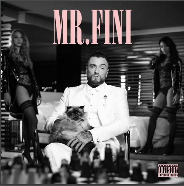 Copertina di Mr. Fini