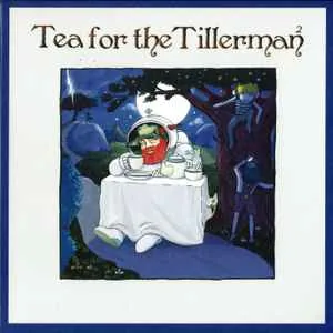 Copertina di Tea For The Tillerman 2