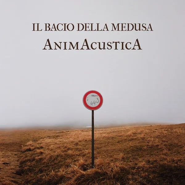 Copertina di Animacustica