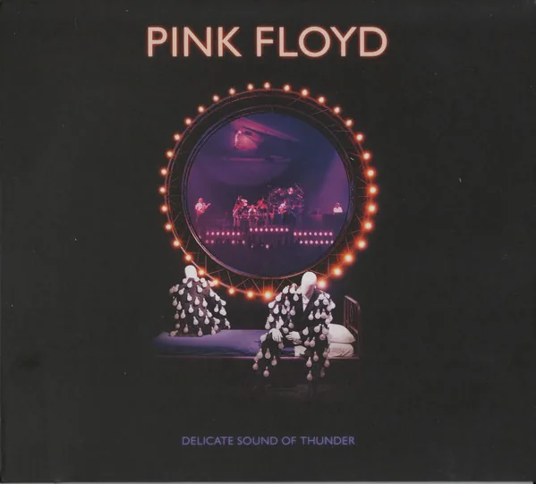 Copertina di Delicate Sound Of Thunder