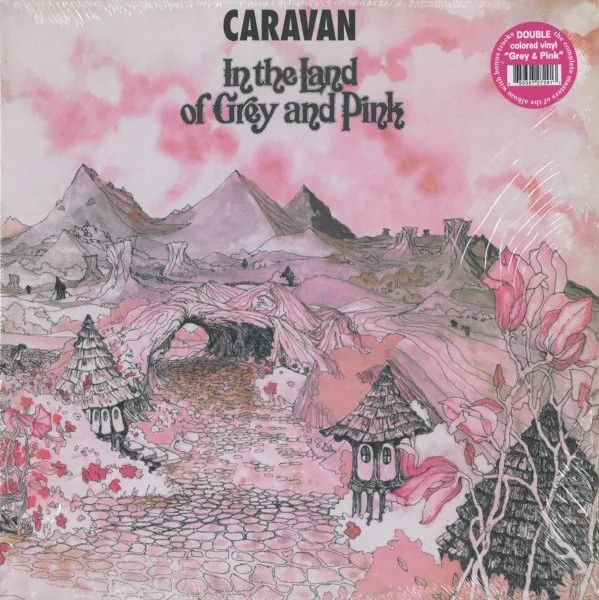Copertina di In The Land Of Grey And Pink