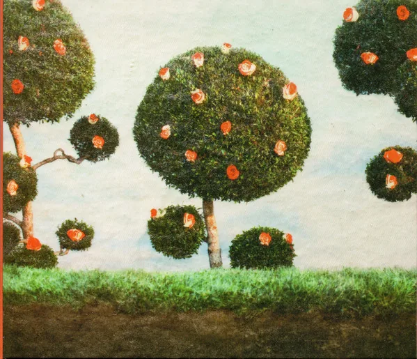 Copertina di Painting The Roses