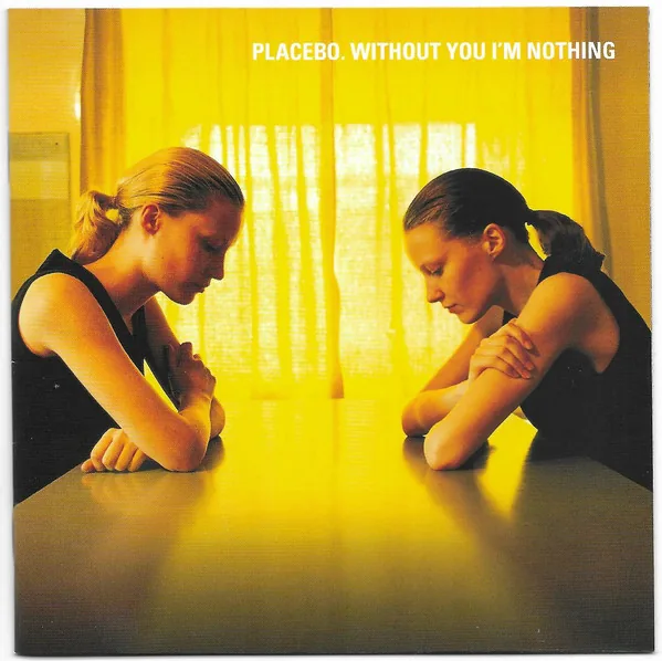 Copertina di Without You I'M Nothing