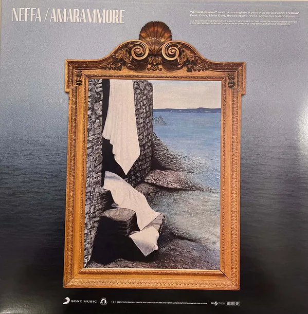 Copertina di Amarammore