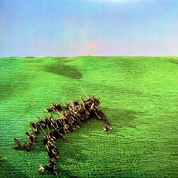 Copertina di Bright Green Field