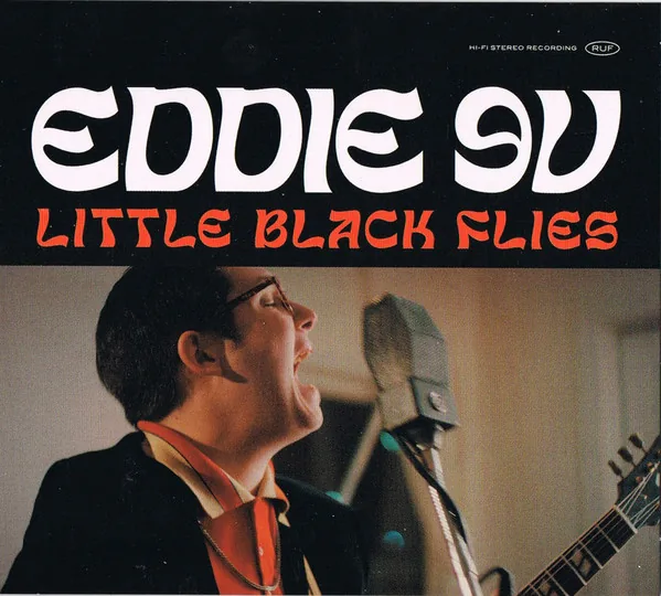 Copertina di Little Black Flies