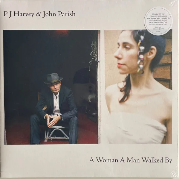 Copertina di A Woman A Man Walked By