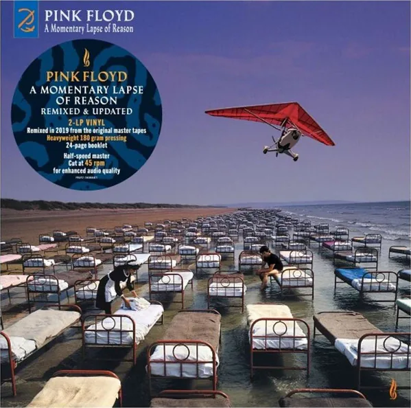 Copertina di A Momentary Lapse Of Reason