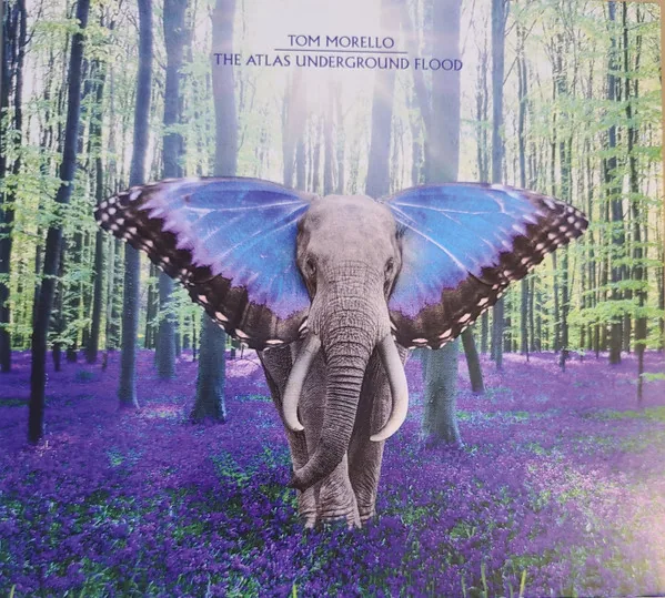 Copertina di The Atlas Underground Flood