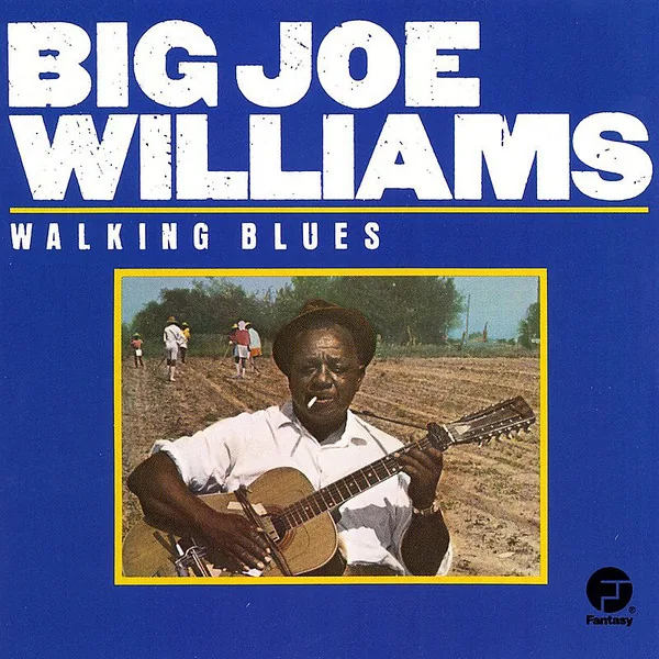 Copertina di Walking Blues