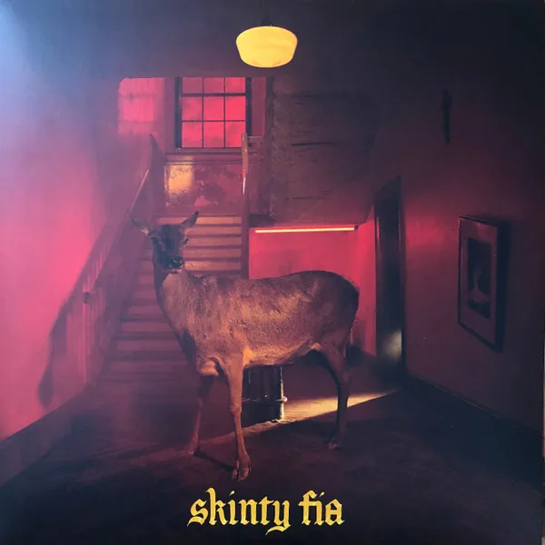 Copertina di Skinty Fia