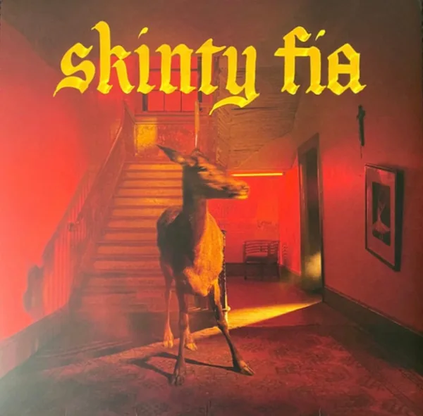 Copertina di Skinty Fia